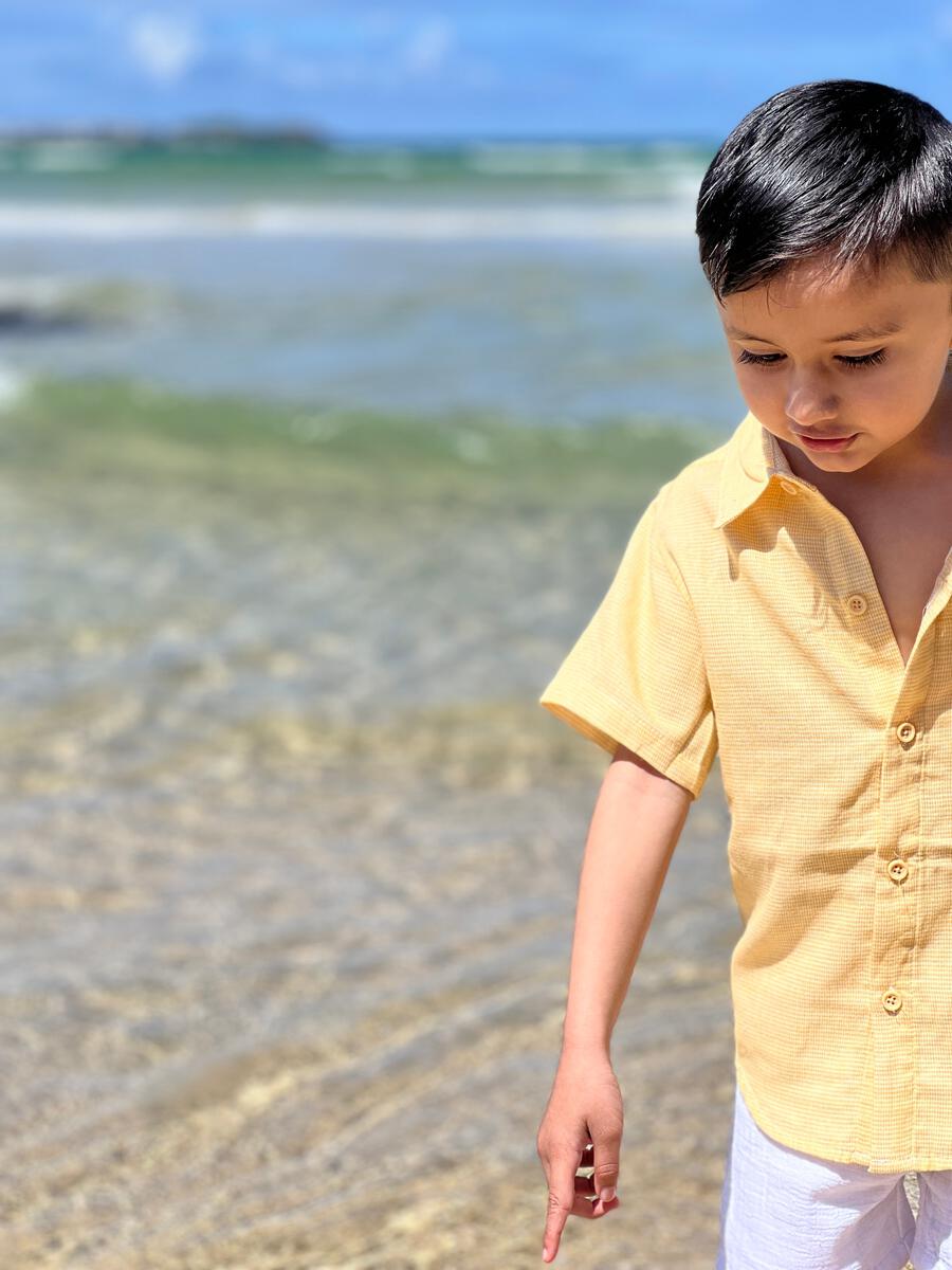 Newport Button Down, Gold Microcheck