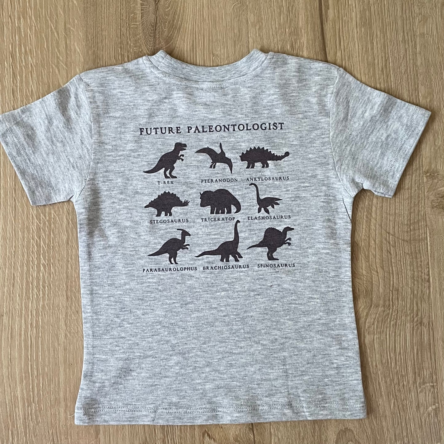 Future Paleontologist